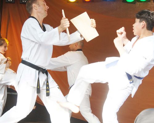 Taekwondo-Training für Kinder und Erwachsene