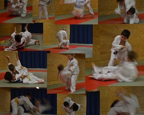 Judo Anfängerkurs