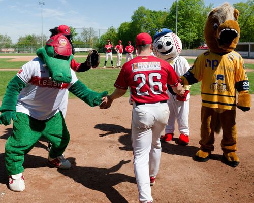 Maskottchen-Tag im TVC Ballpark: Reds feiern Heimsweep gegen Haar