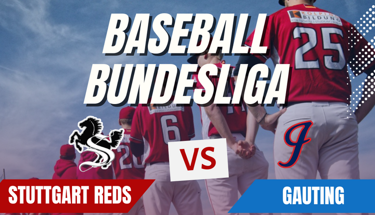 Spannende Begegnungen gegen Gauting Indians