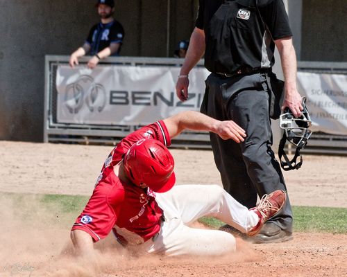 DBL: Reds splitten Heimspielserie gegen Regensburg
