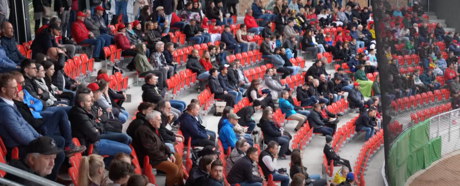 Stuttgart Reds: Das neue Stadion und die Hoffnung auf einen Baseball-Boom